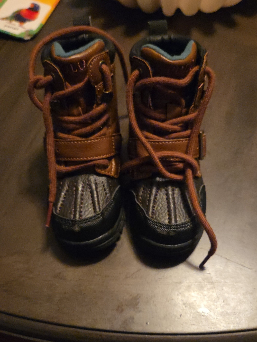 Polo by Ralph Lauren Brown and Black Kids Lace-Up Boots